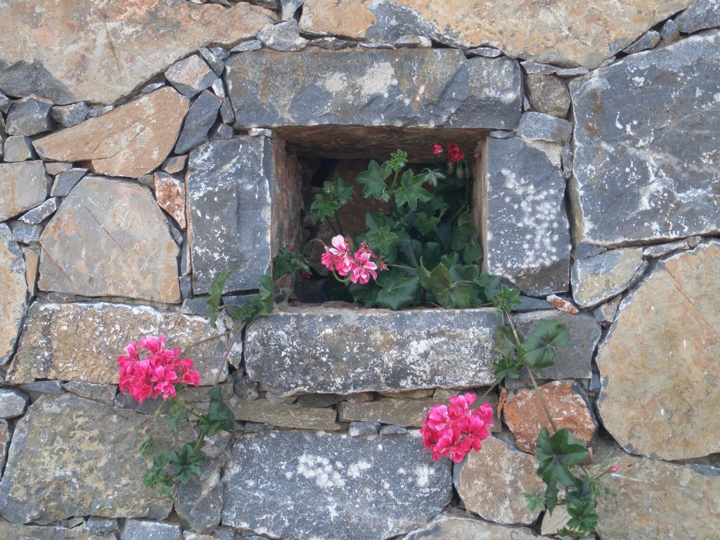 Villa Tholos Crete Kavoúsion Eksteriør billede